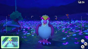 Hard-Won Happiness  - Florio Nature Park (Night) | New Pokémon Snap