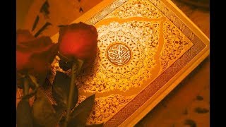 عبدالله الموسى / ولاتحسبن الله غافلا عما يعمل الظالمون