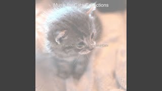 Modish Music for Sleeping Cats
