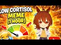 1 Hour Of LOW CORTISOL Meme Take Me Back Back Home 1 Hour Of LOW CORTISOL Meme Take Me Back Back Home