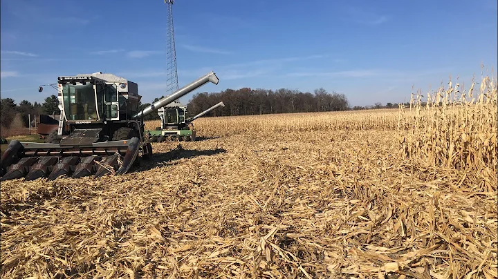 Day 6 of corn harvest 2020 with gleaner combines