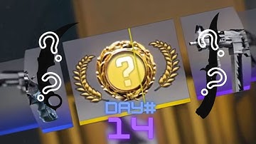 Opening a case everyday until I get a knife #14