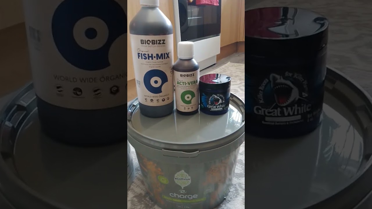 UK outdoor organics , world class gorilla grower..