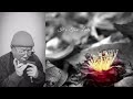 Chromatic Harmonica【It's Too Late】Tokunaga Sound:徳永延生72才のオールラウンドなハーモニカ吹きが吹いてみた。