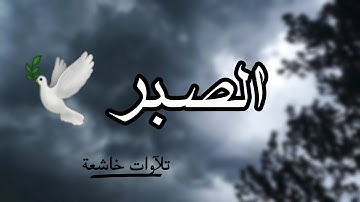 قرآن كريم بصوت القارئ: أحمد حمادي || أجمل حالات واتس اب دينيه  || تلاوة خاشعة 🕊 .