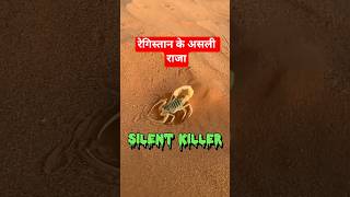 रेगिस्तान के असली राजा #mindrelic #facts #shorts #trending #desert #viral