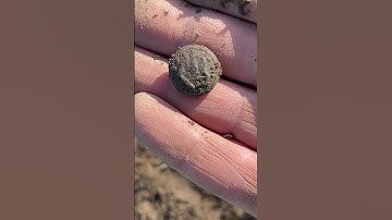 Civil War Buttons Metal Detecting w. Nokta Legend Relic Hunt Treasure Hunting a Skirmish Site!