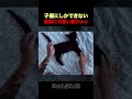 寝ている子猫にポーズをつけてみたらｗ