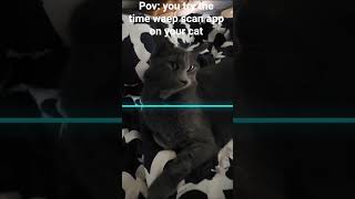 pov i tried the time waep scan pn my car