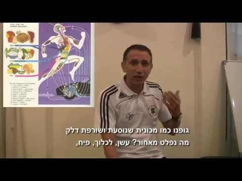 תזונה ואורח חיים בריא 1 - חומציות יתר הבסיס למחלות והשמנה ד"ר שמי שגיב כירופרקט כירופרקטיקה