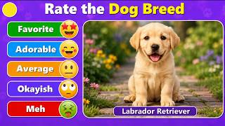 Tier list 🐕 Rate the Top 15 Cute Dog Breeds 🐶🐾