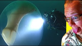 Daily Dose of Internet GIANT Squid IN EGG! (Crazy Internet Videos) screenshot 2