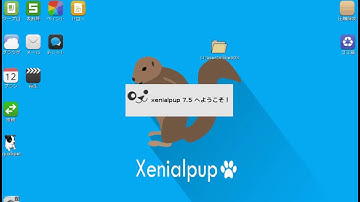 Puppy750 003ローカルサーバ起動