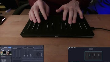 Sounds Of The Seaboard | Dual Arkadia Zither | Marc Schmieder