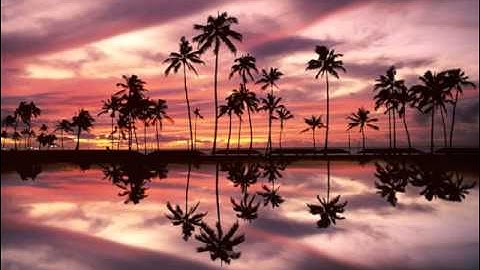 سورة الزلزلة - مشاري العفاسي