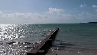 Kicksandkinis X Britts Bikinis