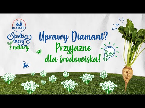 Wideo: Jak rośliny produkują cukier?