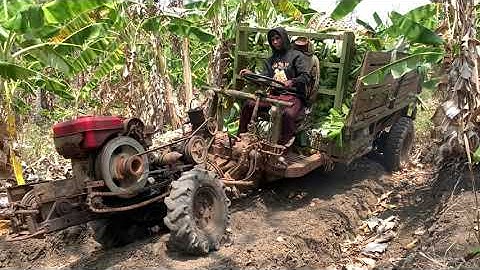 ngày 10 tháng 3, 2024 xe 2 cầu chở chuối cực khỏe