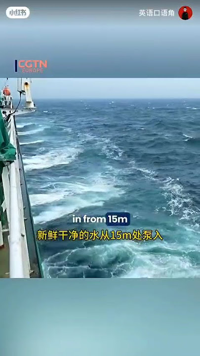 China's Huge Smart Aquaculture Vessel, Larger than a Aircraft Carrier! Movable Fish Farming