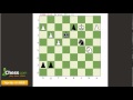 Un matre dchecs rsout les tactiques sur chesscom17771948