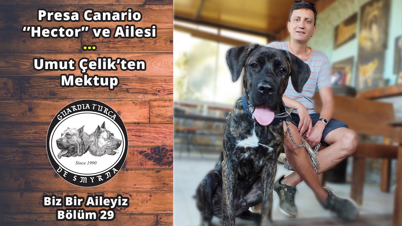 Umut Çelik'ten Mektup - Presa Canario Hector ve Ailesi - Biz Bir Aileyiz Bölüm 29