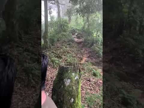 المنشد معاذ المشرفي تصوير قيس الخزيري الشلالات السبعة بونشاك