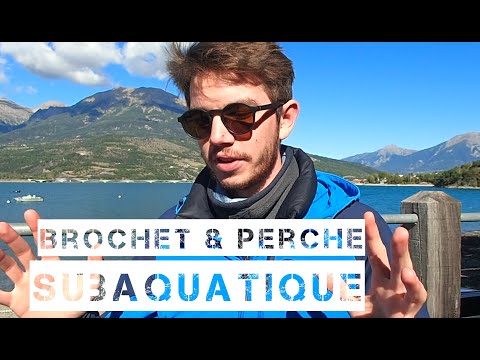 Création de récifs artificiels sur le lac de Serre-Ponçon