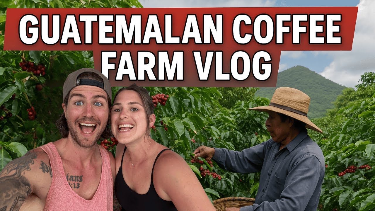 Guatemala Coffee Farm Tour | How Coffee is Really Made