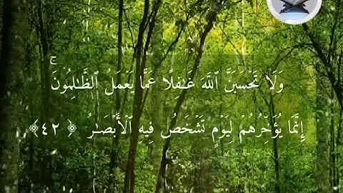تلاوة خاشعة لأواخر سورة إبراهيم .. القارئ  /  عبدالرحمن الهاشمي حفظه الله