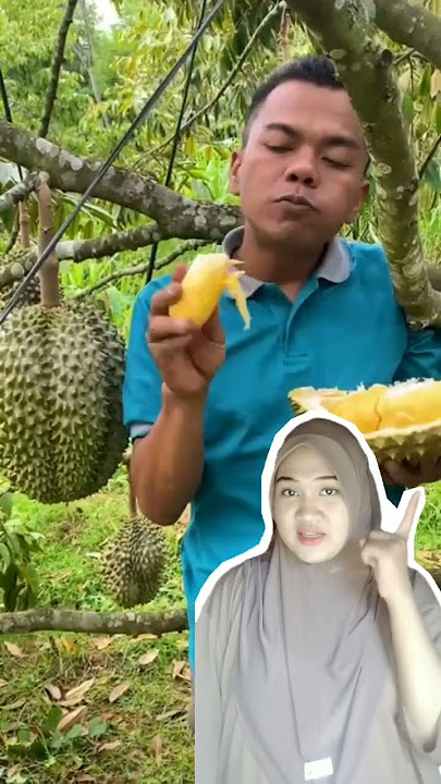 durian bawor paling anadalan #youtubeshorts #youtubeshorts #videoshorts #videoseru #info #relaction