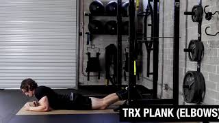 TRX Plank (Elbows)