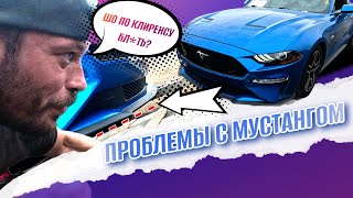 видео: ПРОБЛЕМЫ С НОВЫМ МУСТАНГОМ 5.0 - Клиренс спорткаров - ЭТО ГАБЕЛА! картинка: ПРОБЛЕМЫ С НОВЫМ МУСТАНГОМ 5.0 - Клиренс спорткаров - ЭТО ГАБЕЛА!