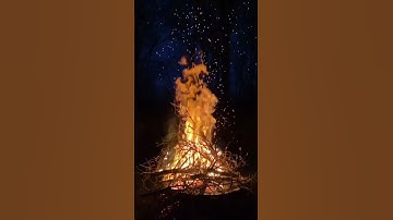 القرآن الكريم بتلاوة ساحرة و صوت ينسيك الحزن @مجيدوchanel