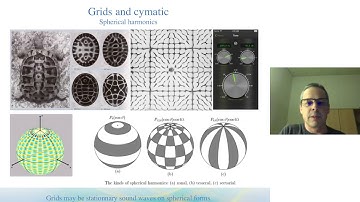 Stephane Cardinaux-Advanced Geobiology /Earth Grids- FractalU.com w/Dan Winter