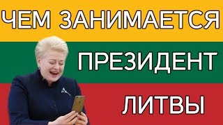 Чем занимается ПРЕЗИДЕНТ Литвы