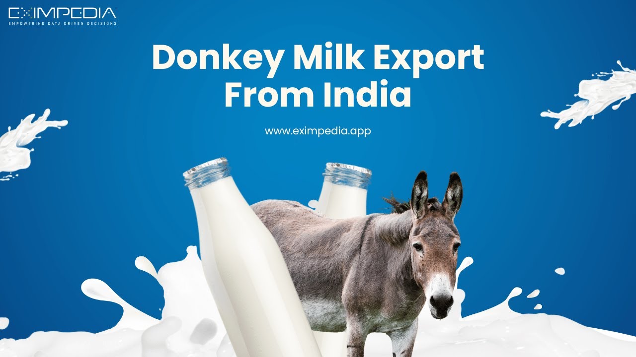 Donkey Milk Export from India: Trends, Challenges & Growth