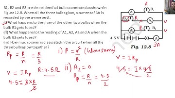 B1, B2 and B3 are three identical bulbs connected as shown in Figure 12.8. When all the three bulbs