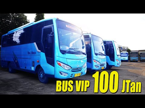 Video: Apakah kusir membuat motorhome yang bagus?