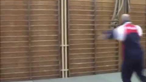 Rotational collision of body with a wall