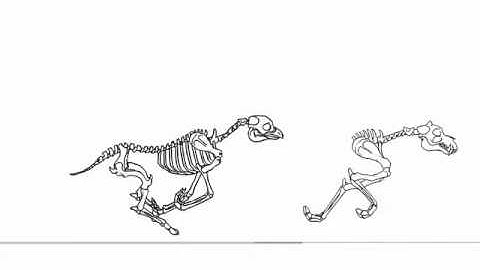 Anatomy In Animation | Darkmane The Werewolf