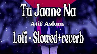 Tu Jaane Na - Lofi Song's || Atif Aslam Songs 2024 || Lofi By Peace Of Lo-fi || Best Of Atif Aslam