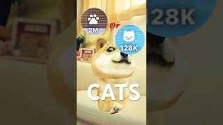 Cats or dogs #cats