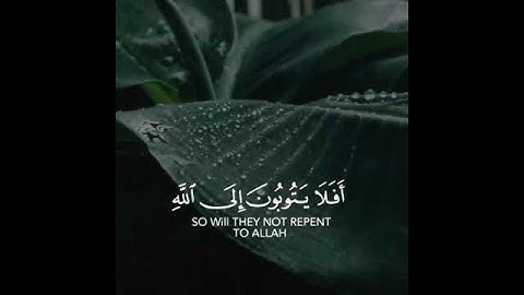 سورة المائدة - أفلا يتوبون إلى الله ويستغفرونه (ايات تبعث الراحة الى النفس)