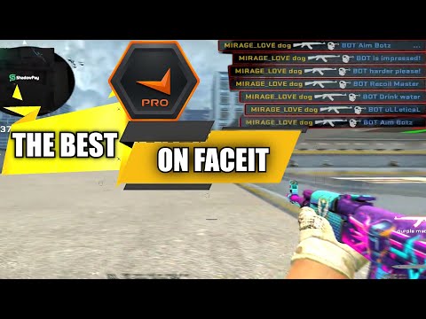 THE BEST PLAYER ON FACEIT