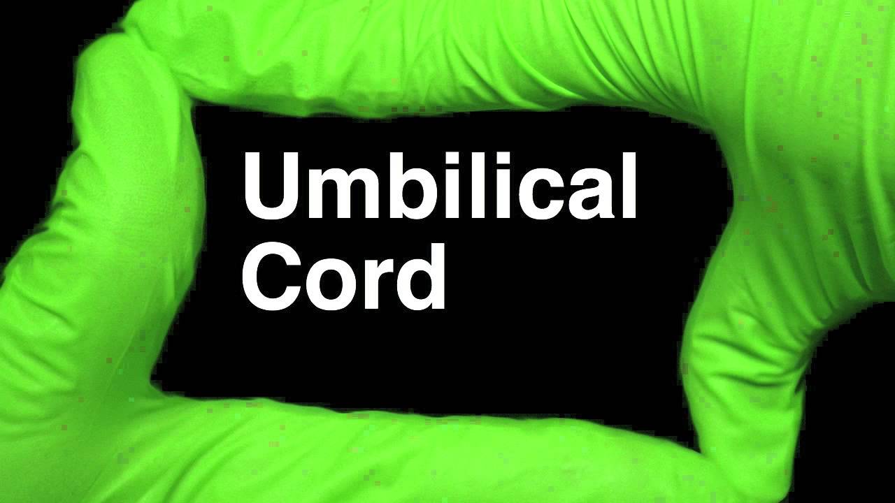 How To Pronounce Umbilical Cord