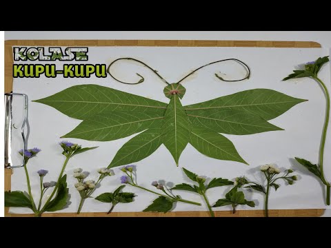 Video: Cara Membuat Hewan Dari Daun