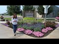 Garden Tour Update at our Local Community College! 🌸🌿 // Garden Answer