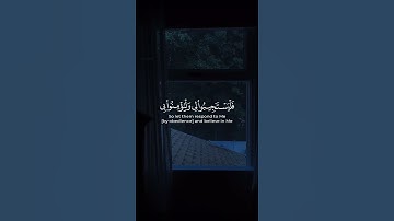 "وإذا سألك عبادي عني فإني قريب" تلاوة خاشعة ياسر الدوسري | Quran Kareem Yasser Al-Dossary