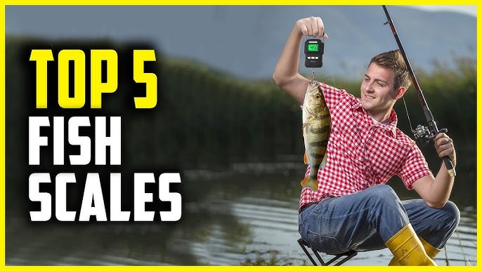 The best fishing scales