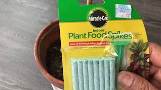 Miracle Gro - How To Use Miracle Gro - How To Use